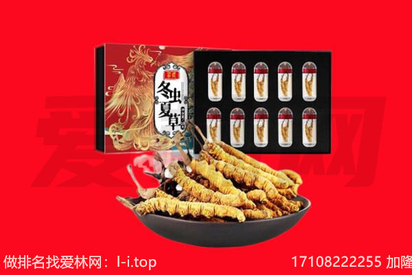 尼玛县回收虫草.jpg